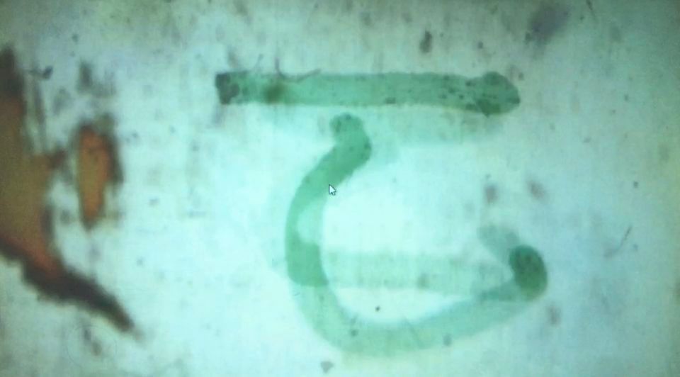 Free Scratch Film guided by filmmaker Robert Banks Second in