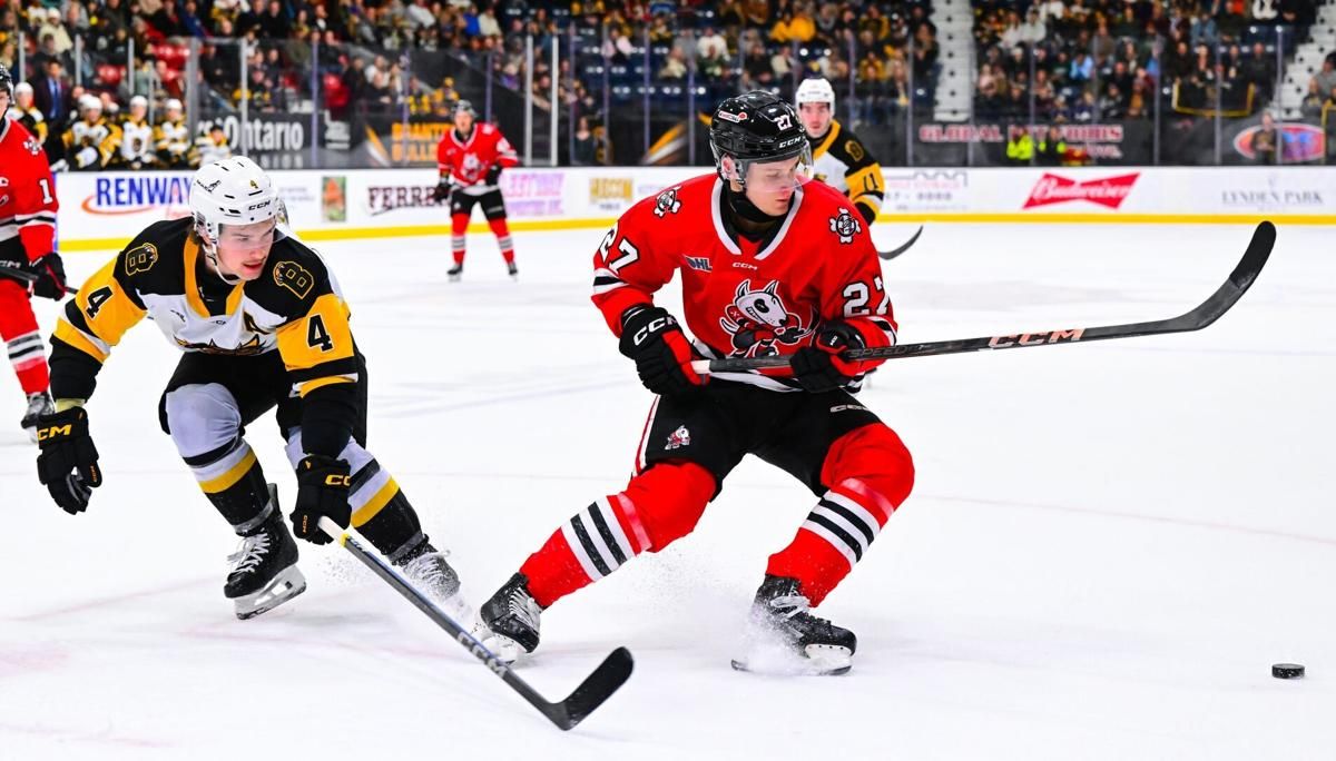 Parking Peterborough Petes at Brampton Steelheads, 21 February | Event in Brampton | AllEvents