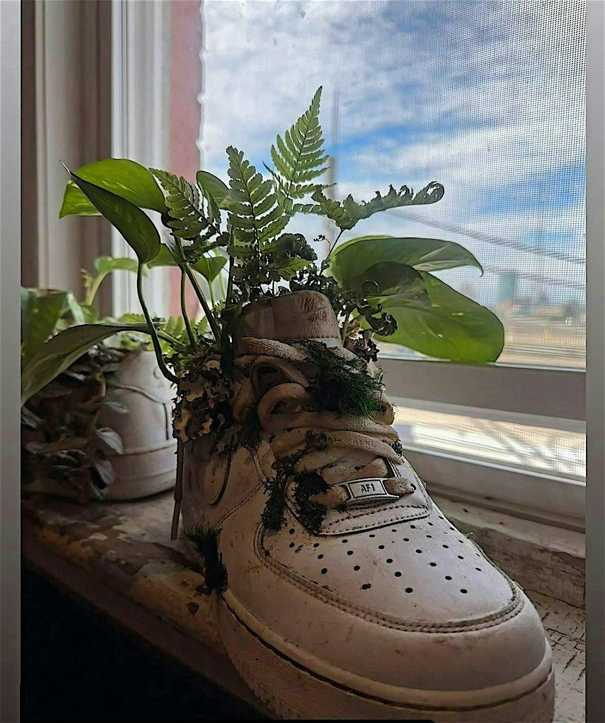 Sole to Soil: Sneaker Planter Workshop, 14 December | Event in Norwood | AllEvents