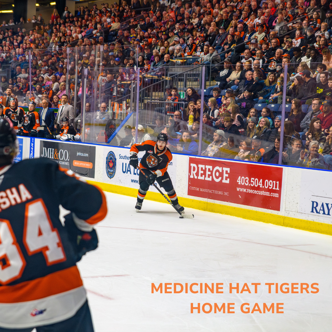 Medicine Hat Tigers at Prince Albert Raiders at Art Hauser Centre, 24 January | Event in Prince Albert | AllEvents