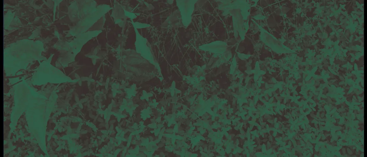 Basia Bulat in Leeds, 20 June | Event in Leeds | AllEvents