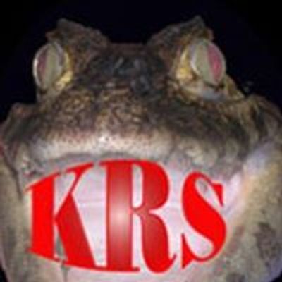 Kalamazoo Reptile & Exotic Animal Expo
