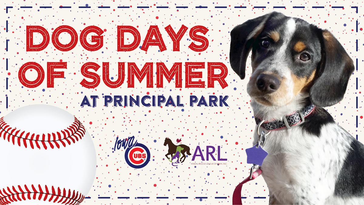 Parking Iowa Cubs at Louisville Bats | Event in Louisville | AllEvents