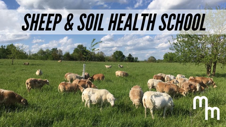 Sheep & Soil Health School, 2351 Severs Rd, Seymour, MO 657468976