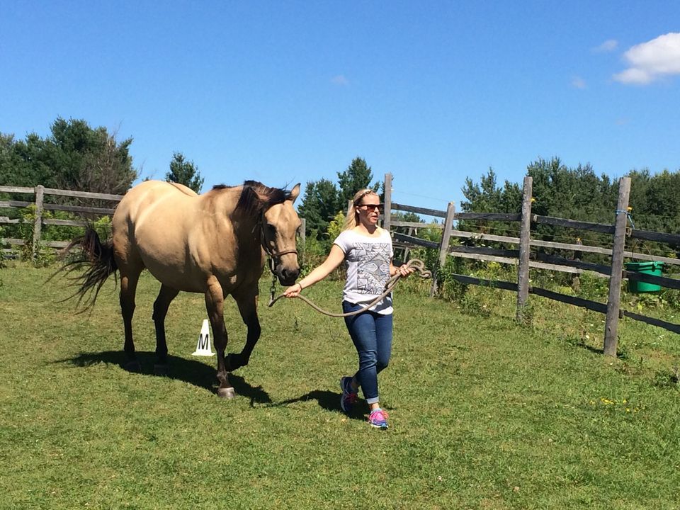 Setting healthy boundaries, Caledon Village, 24 July 2022 AllEvents.in