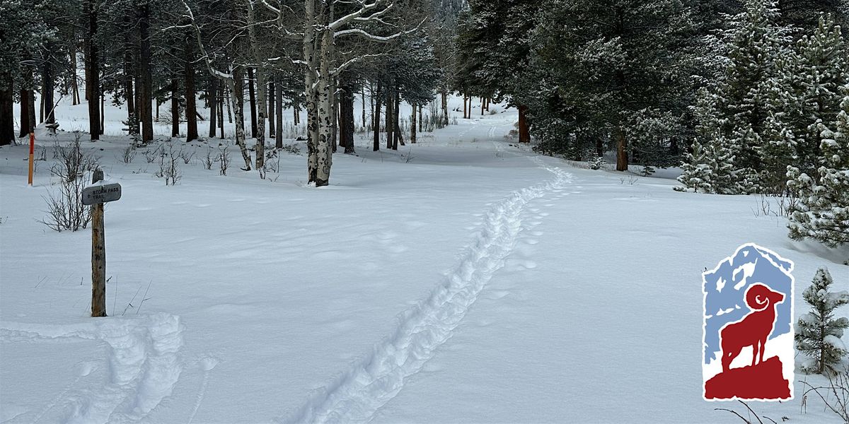 Winter Hike: Mills Lake