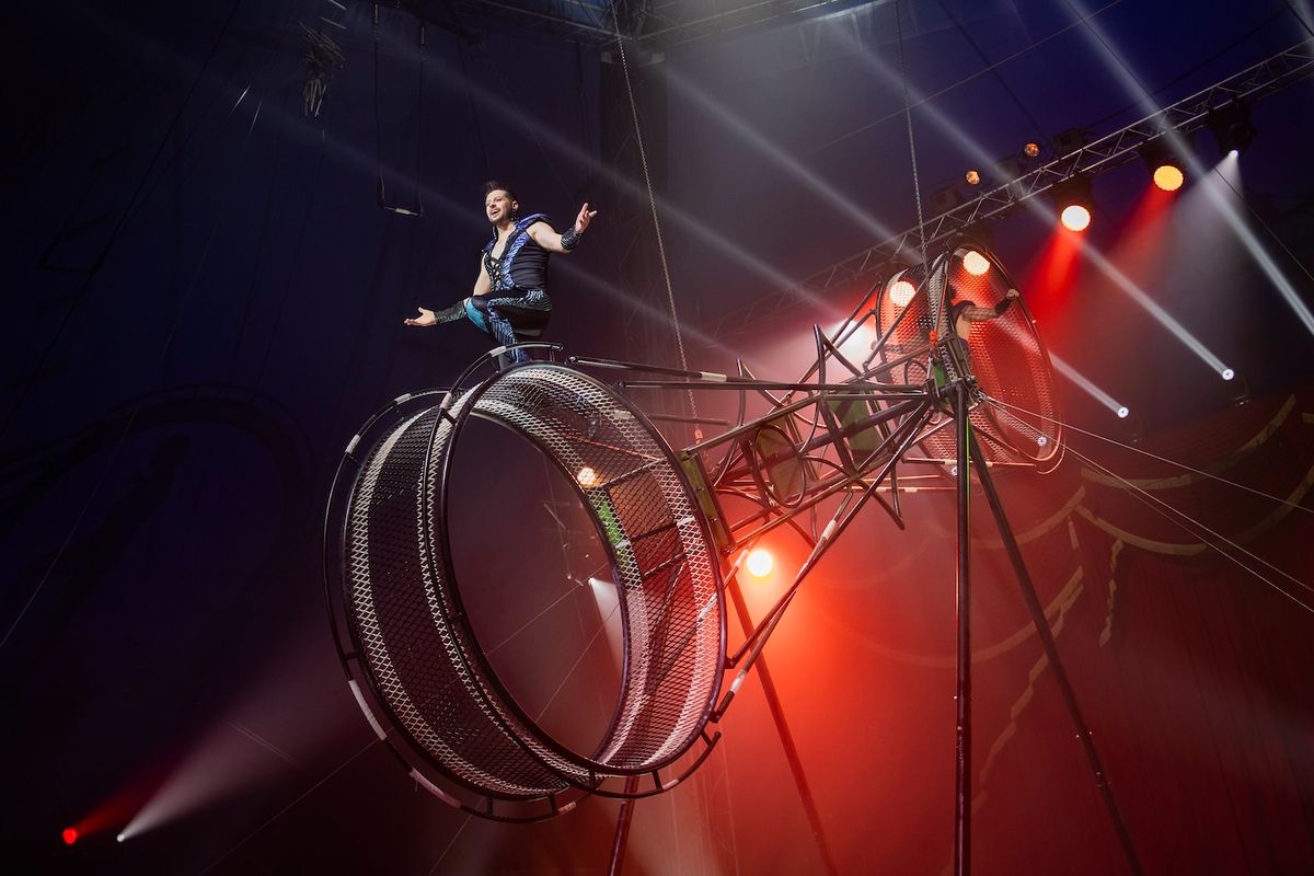 Circus Vargas, 12 June | Event in Santa Barbara | AllEvents