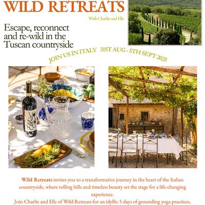 Wild Retreats logo