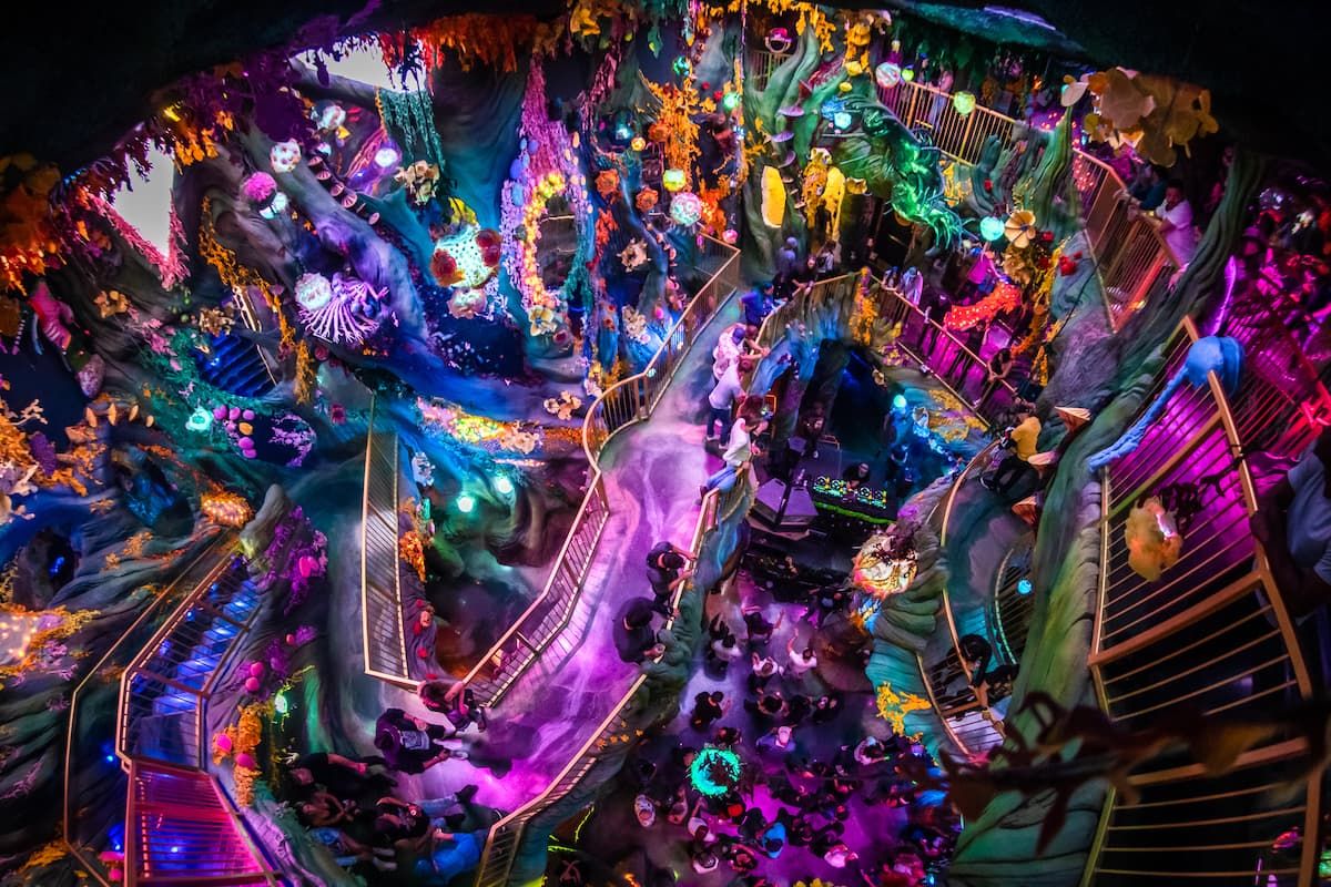 Danceportation at Meow Wolf - Denver | Event in Denver | AllEvents
