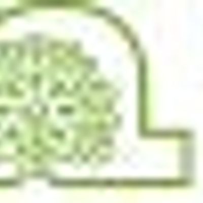 Early Childhood Services Training logo