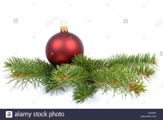 Biltmore Christmas At Baptist Church Glen
