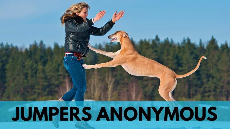 Jumpers Anonymous, Sit Happens Dog Training, Lafayette, December 6 2023 AllEvents.in