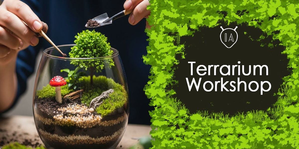 terrarium workshop, 29 November | Event in Kolkata | AllEvents