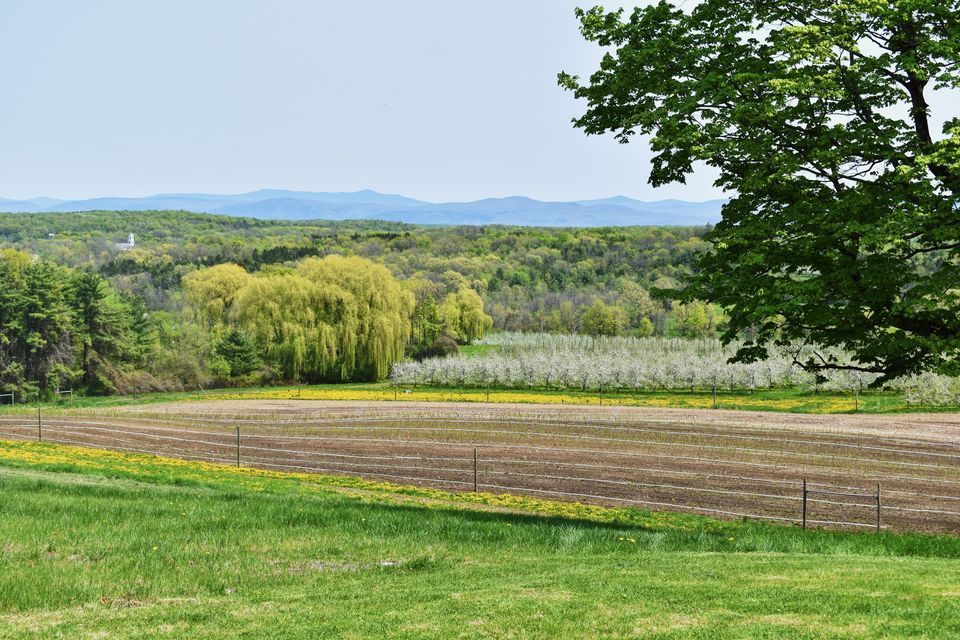 Farm to Ballet at Champlain Orchards, Champlain Orchards, Shoreham