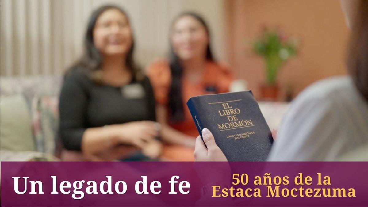 Actividad misional de estaca - "Un día en la misión" en barrio Pantitlan, 29 November | AllEvents