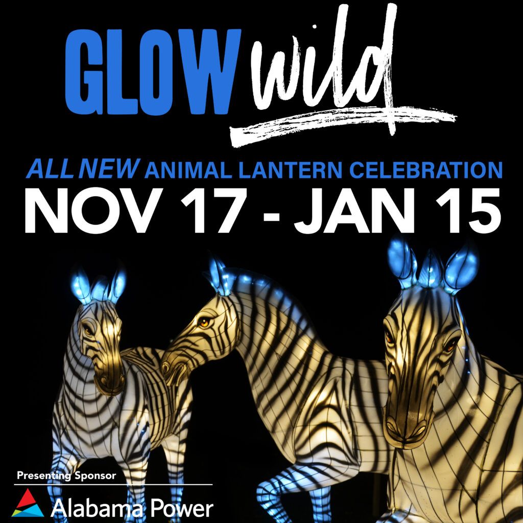 Zebra at City Winery - Boston, 11 October | Event in Boston | AllEvents