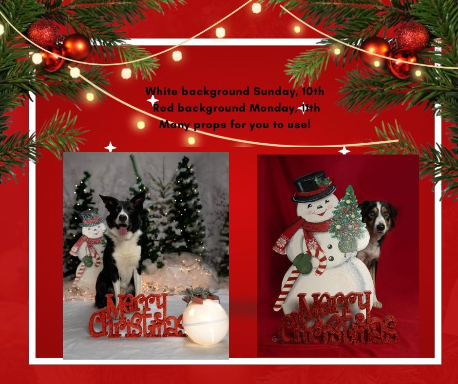 Holiday Themed Photo Shoots by Happy Place Photography at Must Love