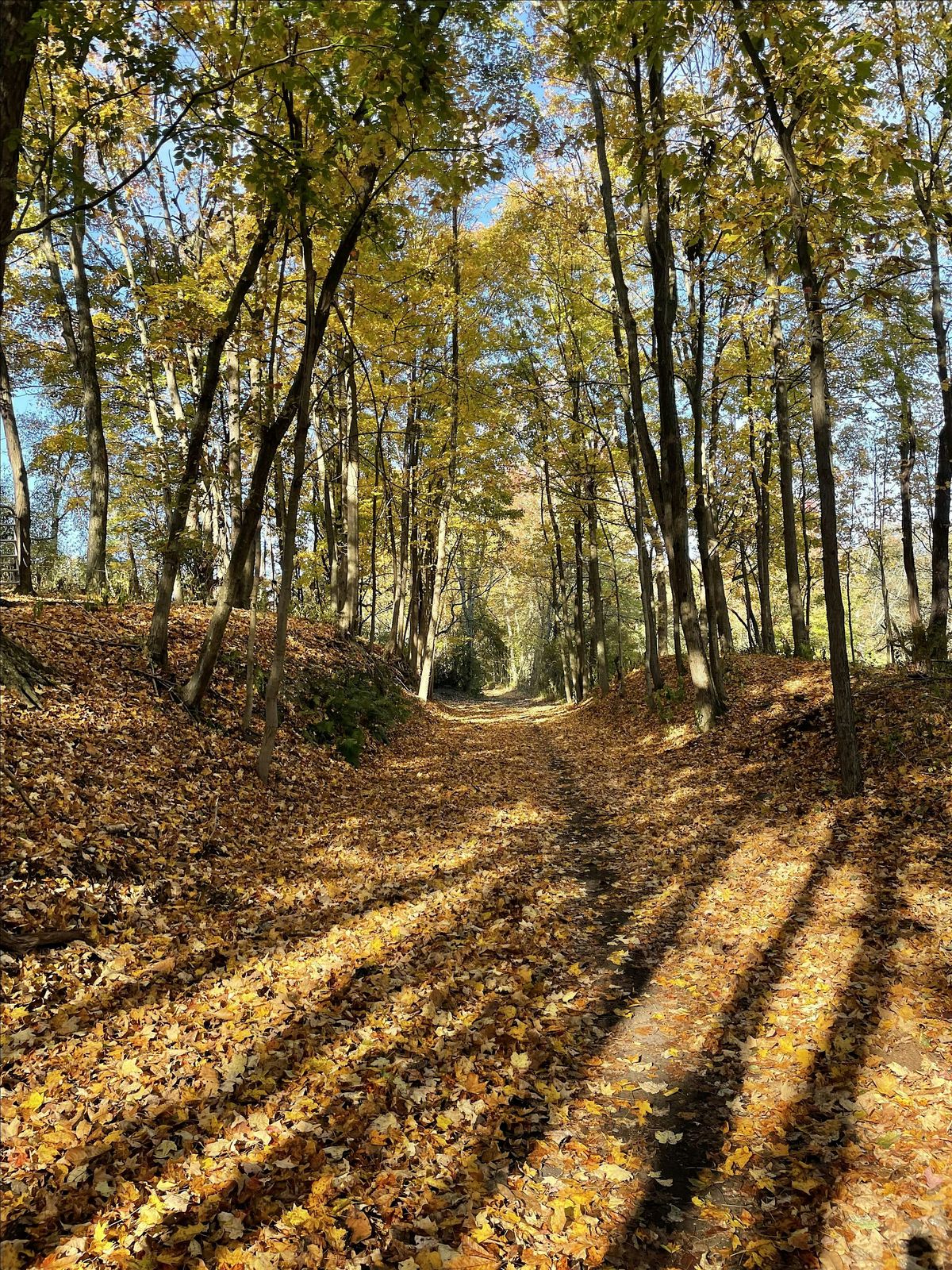 First Day 2026 Hike in Watchung Resevation!, 1 January | Event in Mountainside | AllEvents