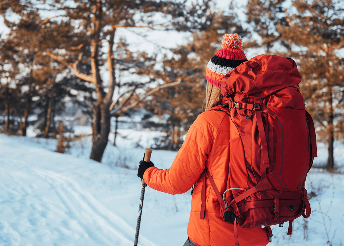 Forest Fitness Winter Hike: Adult Program (18+), $4 per person upon arrival, 20 December | Event in West Hempstead