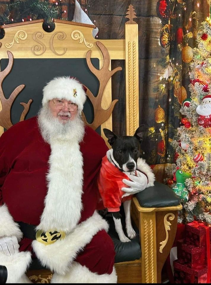 Picture Your Pets with Santa, Feeders Supply (Shepherdsville), December