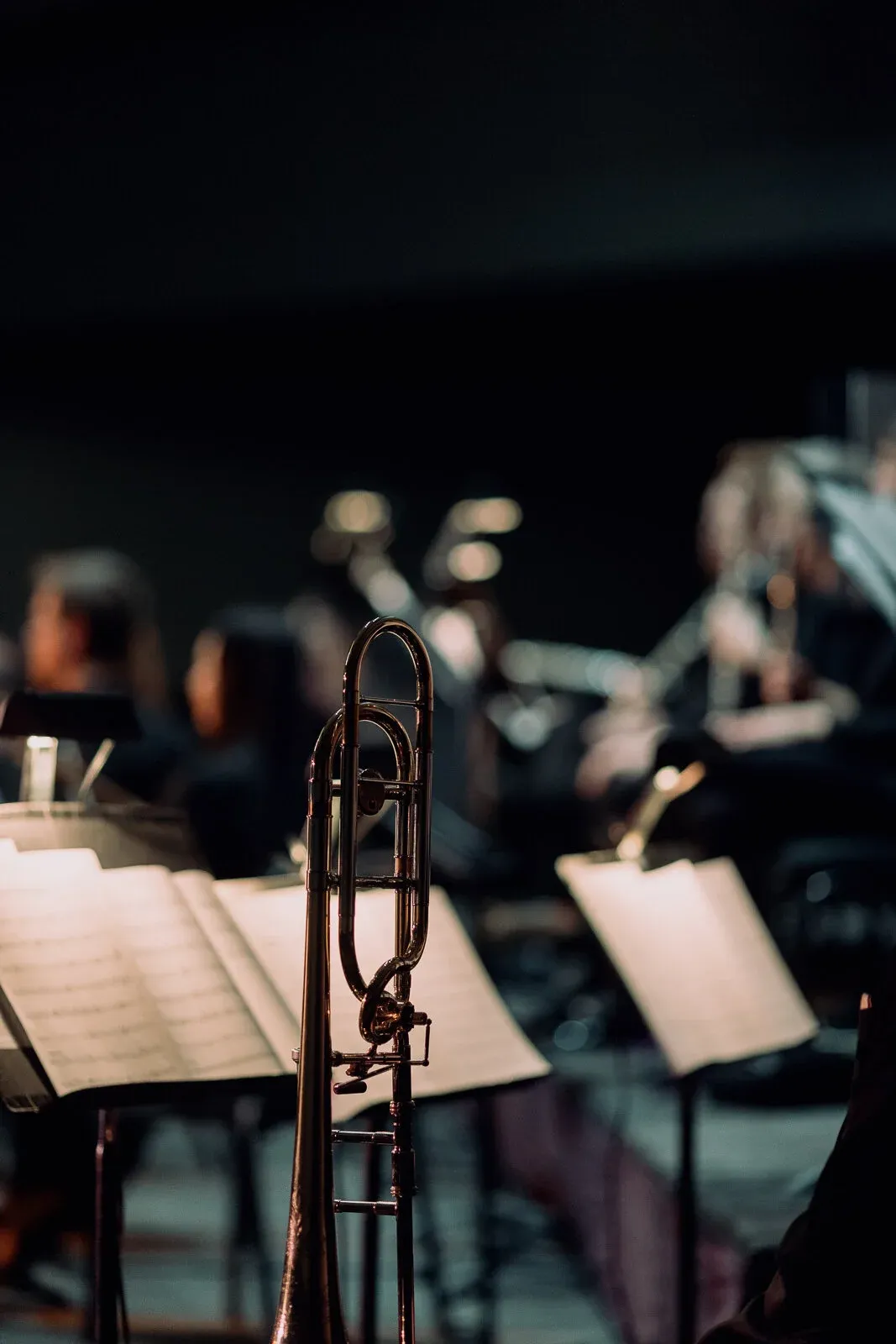 Thunder Bay Symphony Orchestra: Speakeasy, 10 April | Event in Thunder Bay | AllEvents