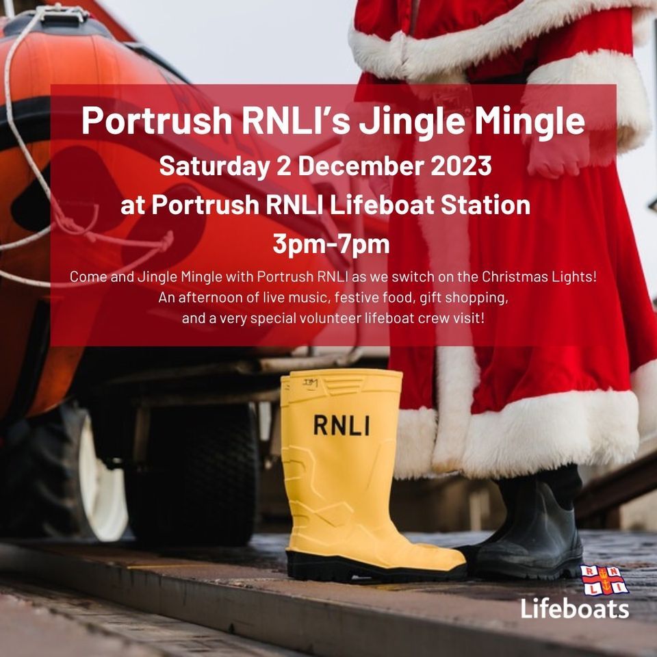 Carlisle christmas light switch on