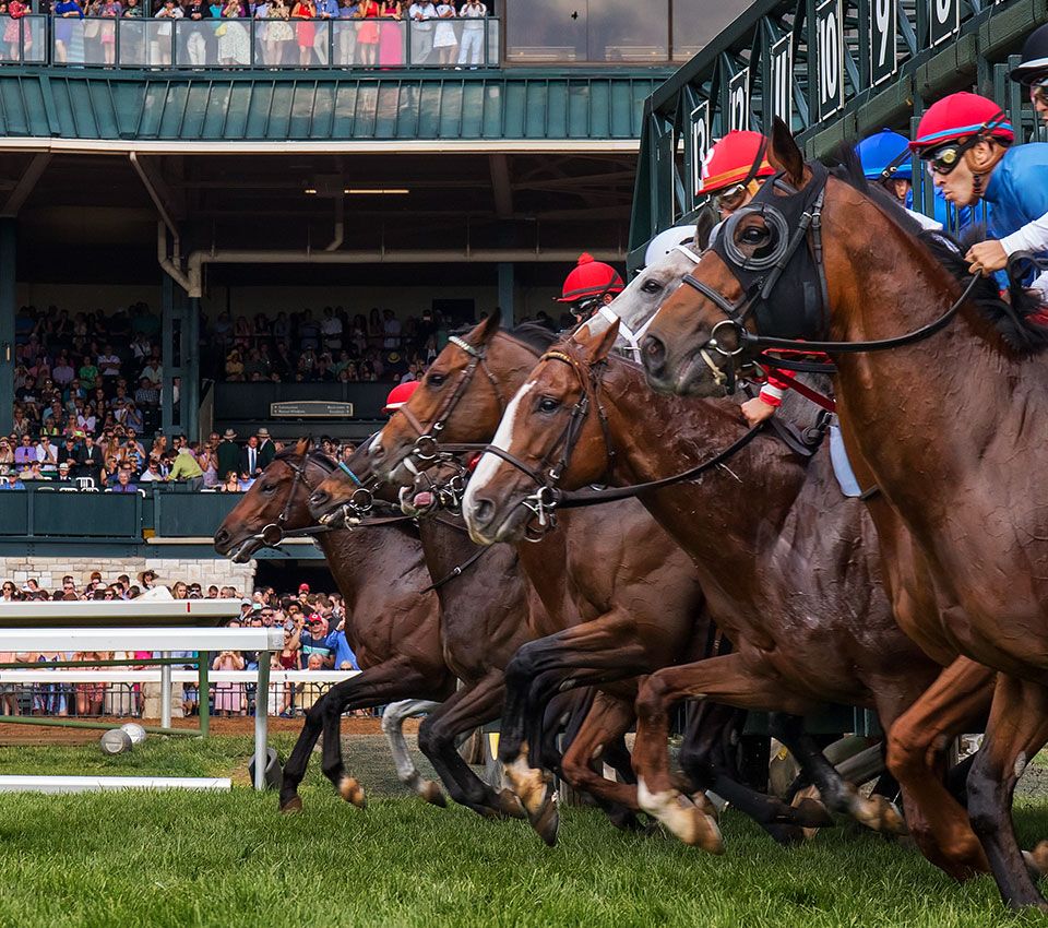 Keeneland Fall Race Meet, 2 October | Event in Lexington | AllEvents