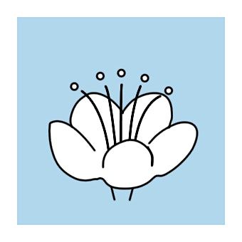 Self Confidence and Healthy Relationship Workshop for 16 to 25 year old., 29 January | Event in London | AllEvents