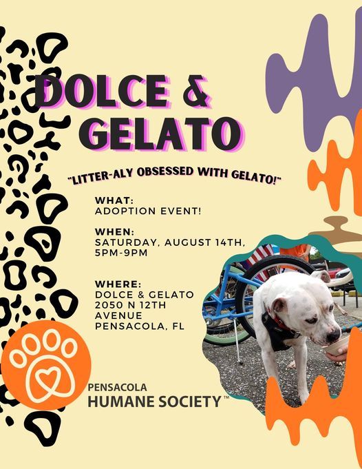 Events In Pensacola In August 2021 Adoption Events December 2022 Gainesville Fl