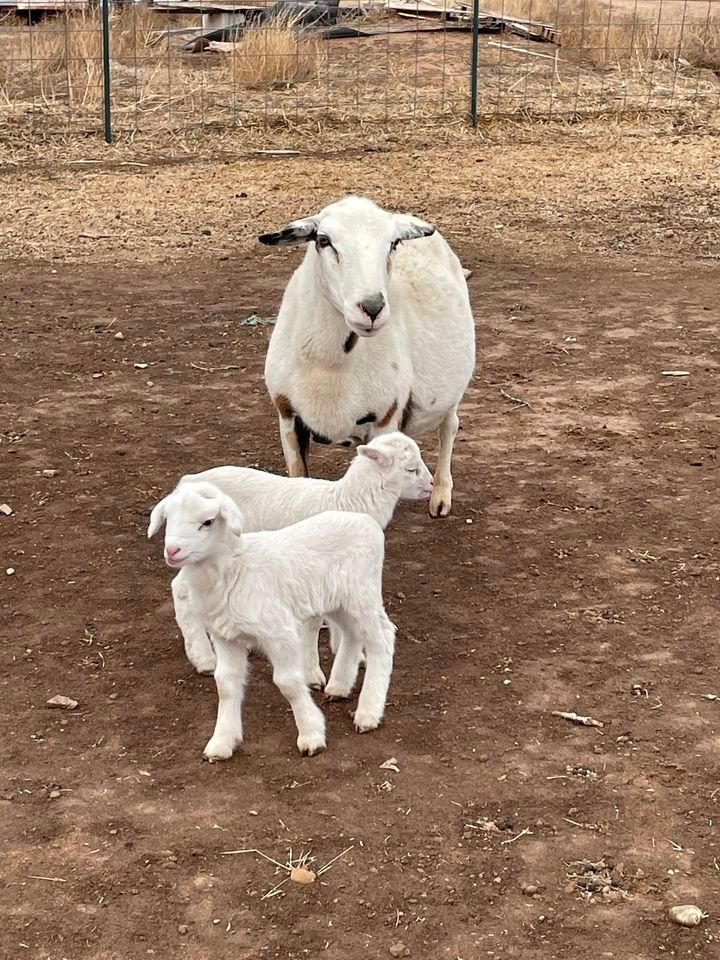 Martin Luther King weekend, 12101SBell, January 15 2023 AllEvents.in