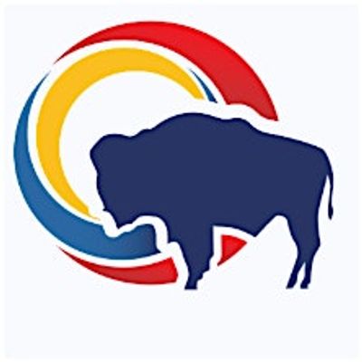 WIP Datahub Initiative logo