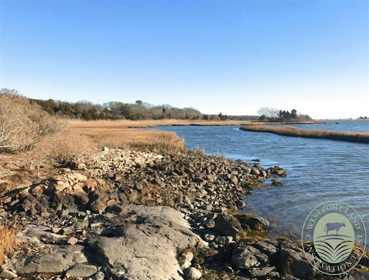 New Year's Day Walk at The Let, 1 January | Event in Westport | AllEvents