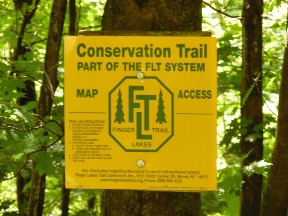 Conservation Trail, 6185 Goodrich Rd, Clarence Center, NY 140329704