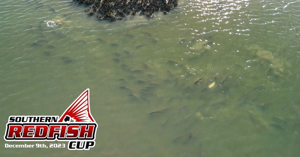 Isle of Palms Redfish Tournament , Islander 71, Isle Of Palms, 9 ...
