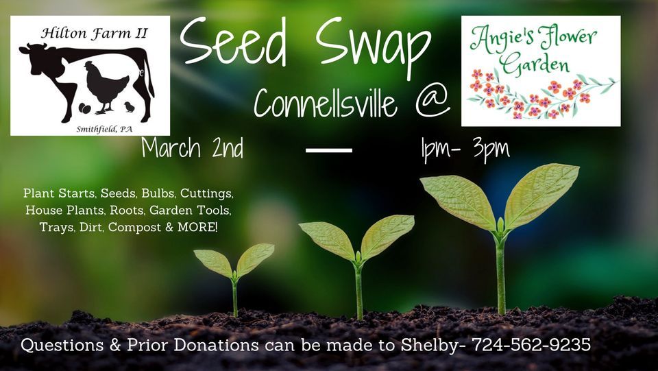 Seed Swap Angie’s Flower Garden, Angie's Flower Garden, Jonesville