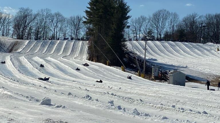 31 things to do in Mass., one for every day in January
