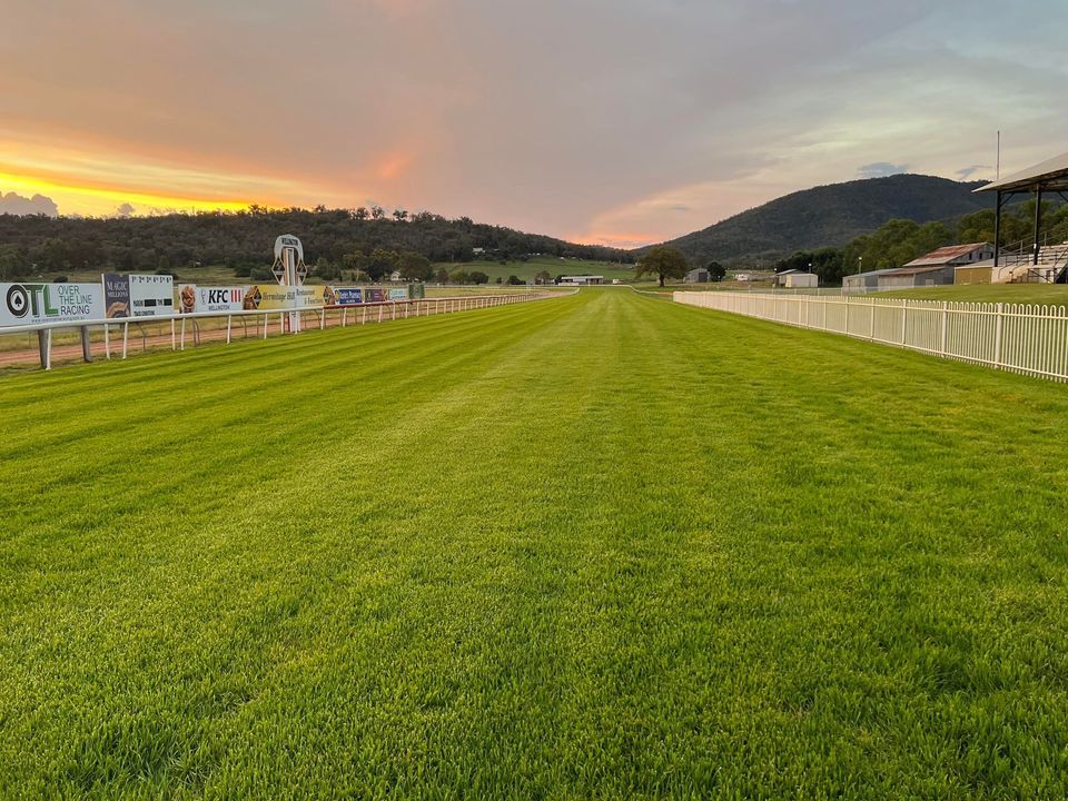 Wellington Races Wellington Boot Carnival - Day 2, Wellington Race Club NSW, Dubbo ...
