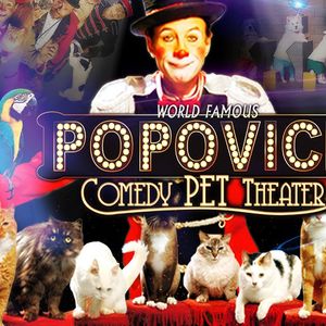 Popovich Comedy Pet Theater at Cultural Activity Center