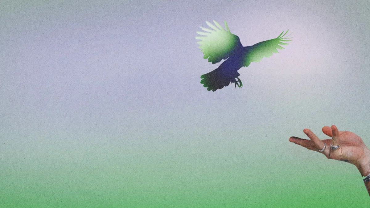 AO LIVE: Elderbrook in Melbourne, 14 January | Event in Melbourne | AllEvents