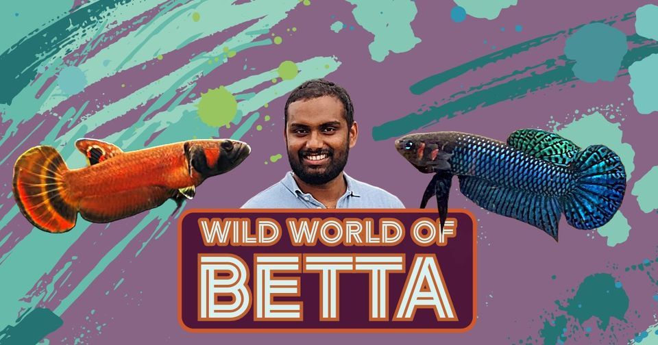 Wild World of Betta - Sai Krishna Reddy Karri, Round Table Pizza ...