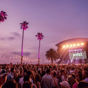 For The Love - Perth 2024