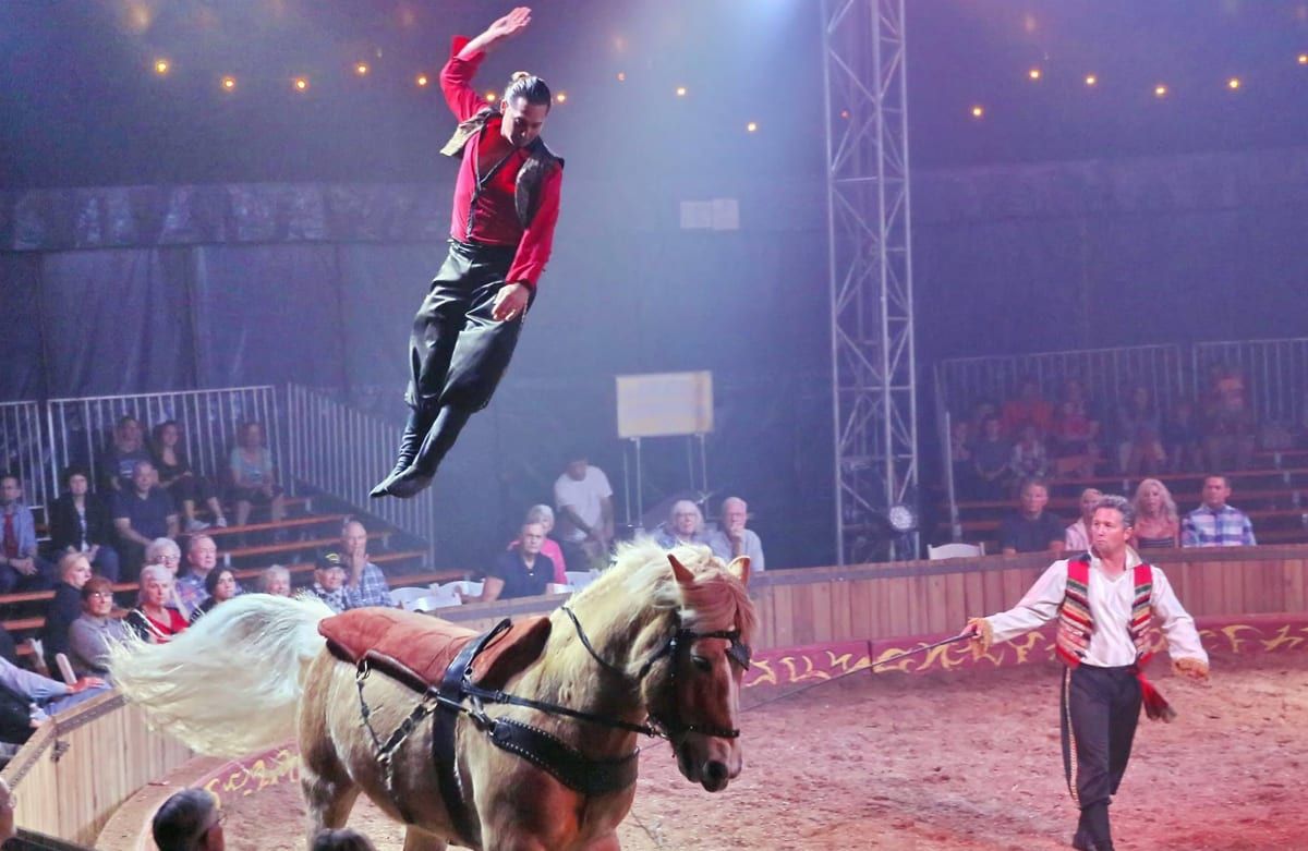Cirque MaCeo, Brooksville, 11 December to 1 March | AllEvents