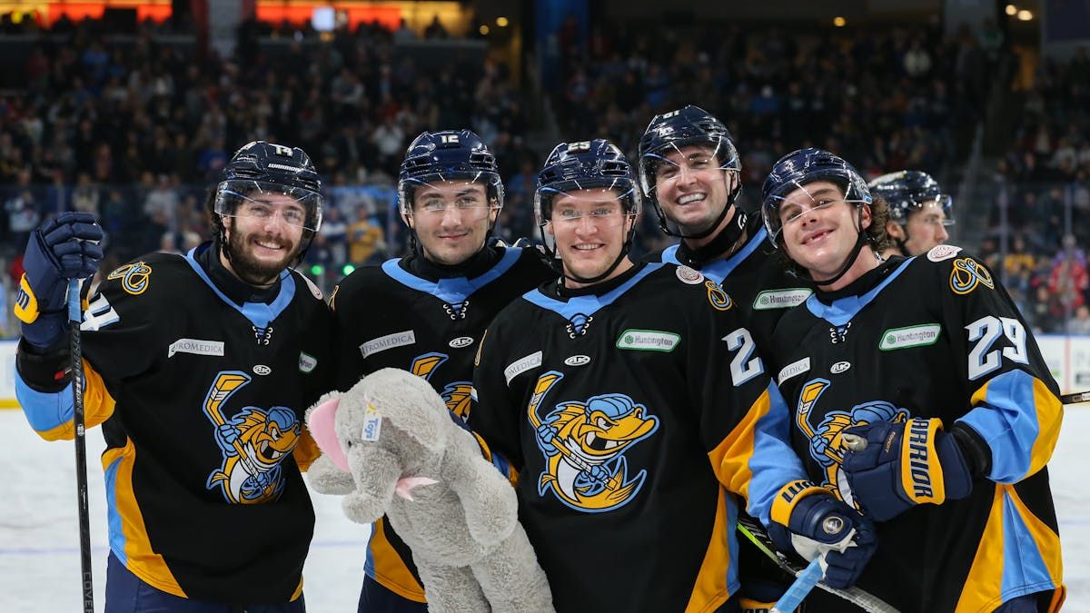 Toledo Walleye at Bloomington Bison, 25 October | Event in Bloomington | AllEvents
