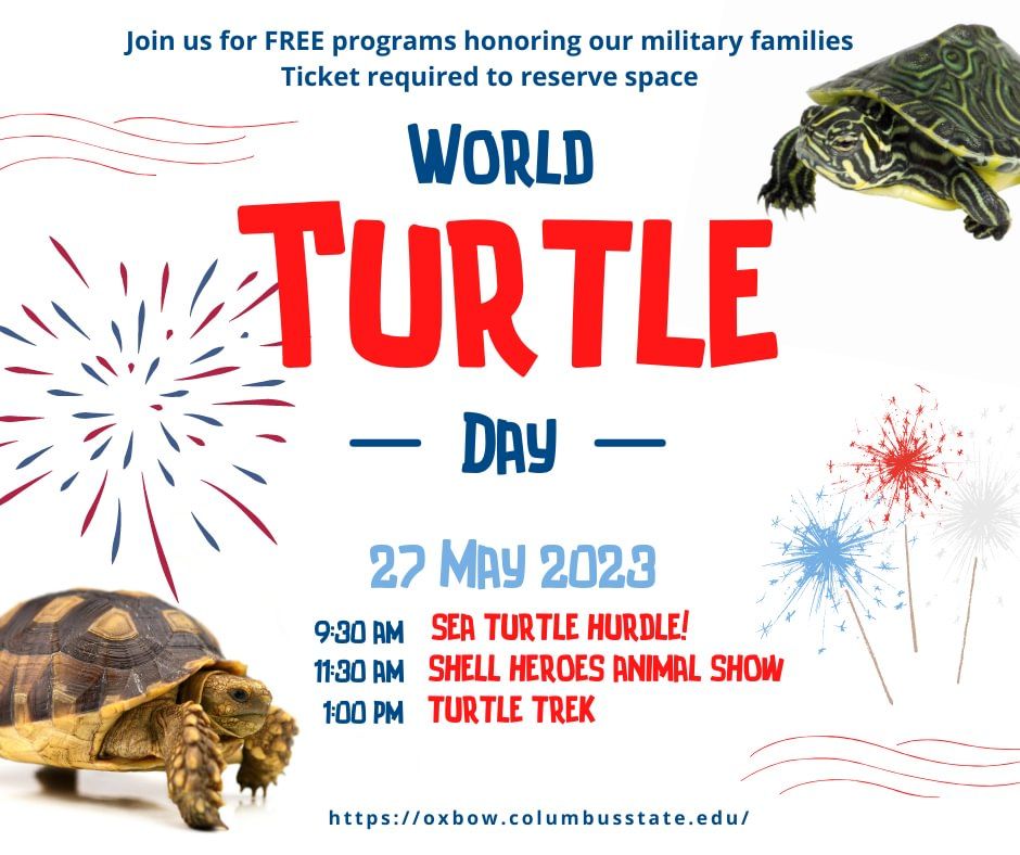 World Turtle Day!, Oxbow Meadows Environmental Learning Center at