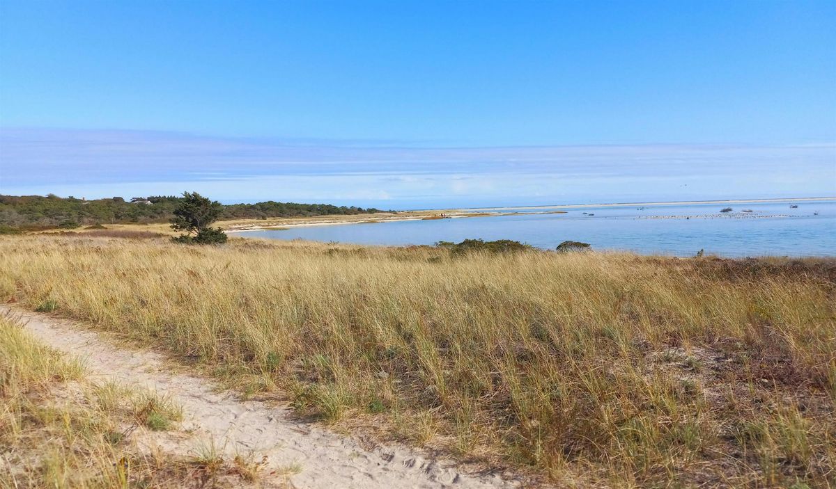 Winter Solstice Walk: Morris Island with Fi Lowry, 21 December | Event in Chatham | AllEvents