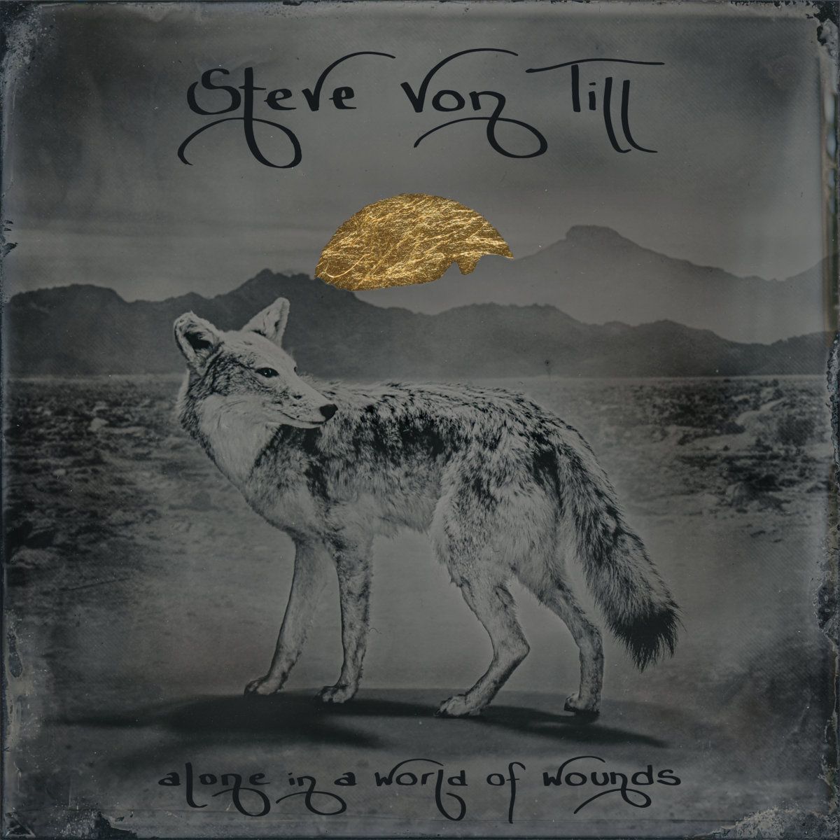 Steve Von Till, 31 July | Event in Seattle | AllEvents