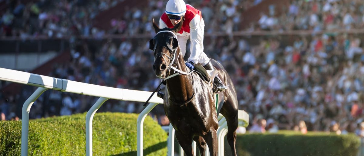 Del Mar Thoroughbred Racing at Del Mar Thoroughbred Club, 18 July | Event in Del Mar | AllEvents