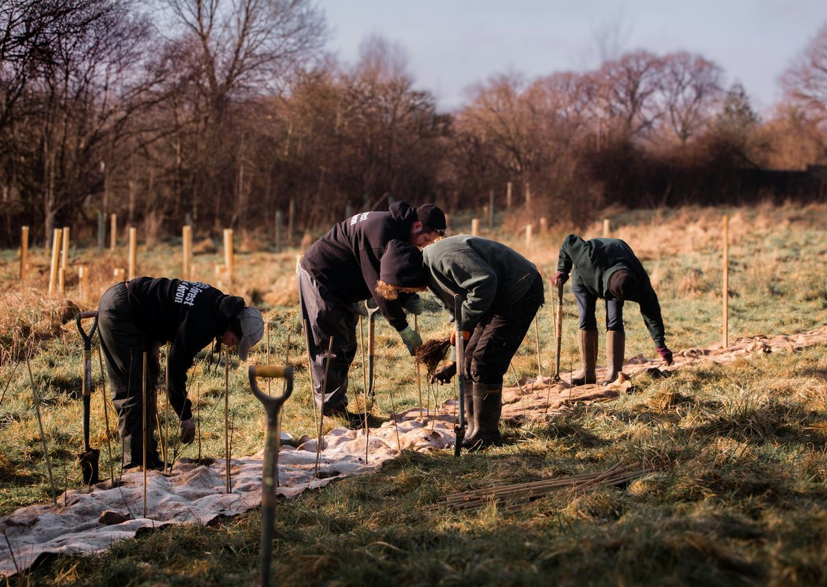Volunteer Tree Planting - Pucklechurch Wood, 18 December | Event in Bristol | AllEvents