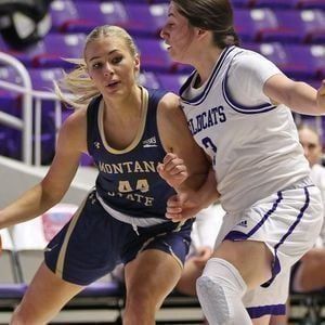 Parking Weber State Wildcats at Montana State Bobcats Mens Basketball