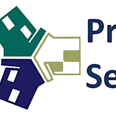 Project Sentinel logo